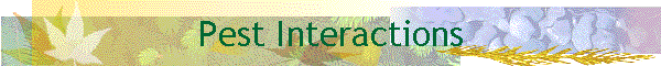 Pest Interactions