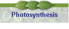 Photosynthesis