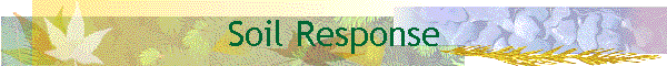 Soil Response